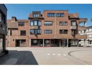 Handelspand te koop - Turnhout RBU17357