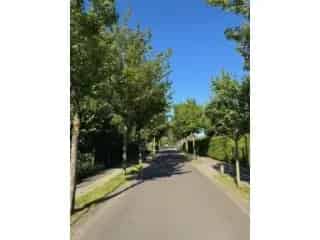 Project: Olea - Woningen - Olen 1485769-00955250_OM_236024