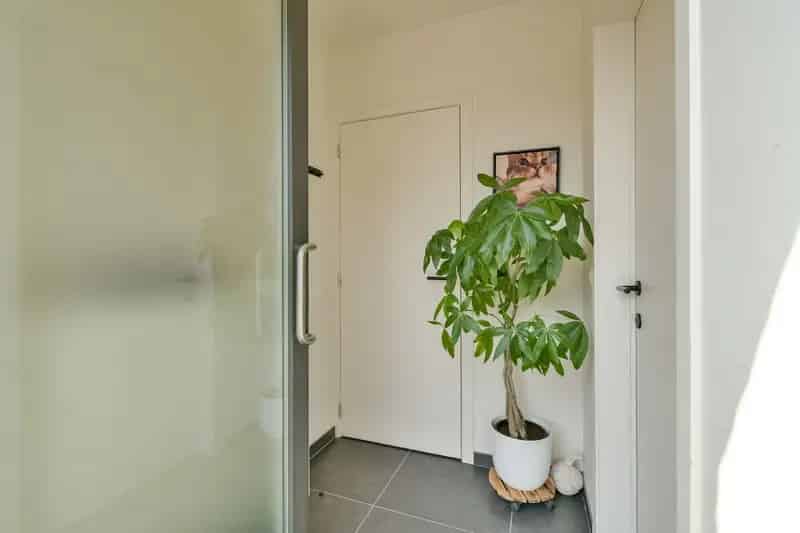 Recente energiezuinige gezinswoning in  Rumbeke (Roeselare)!