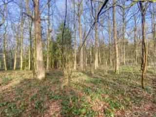 Bouwgrond te koop - Brûly-de-Pesche VBC40947