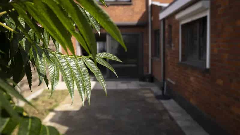 Huis te koop in Assenede