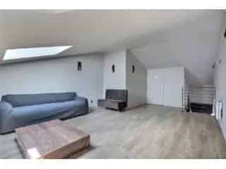 Handelspand te koop - Moeskroen VBD12751