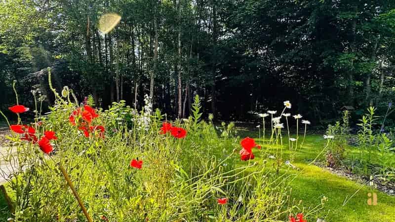 Droomhuis in Deurle: Groen geluk