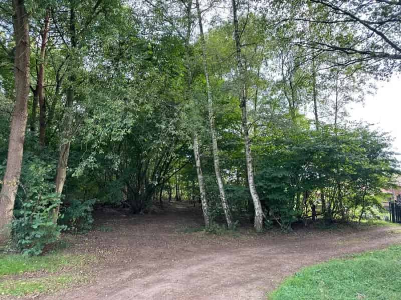 Bosgrond te huur 38 are Dag Recreatie