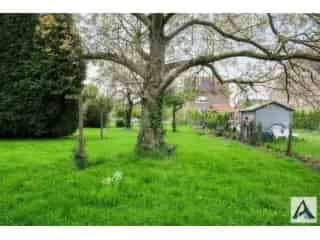 Bouwgrond te koop - Mopertingen RBT66571