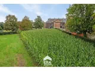Bouwgrond te koop - Bree RBS00278
