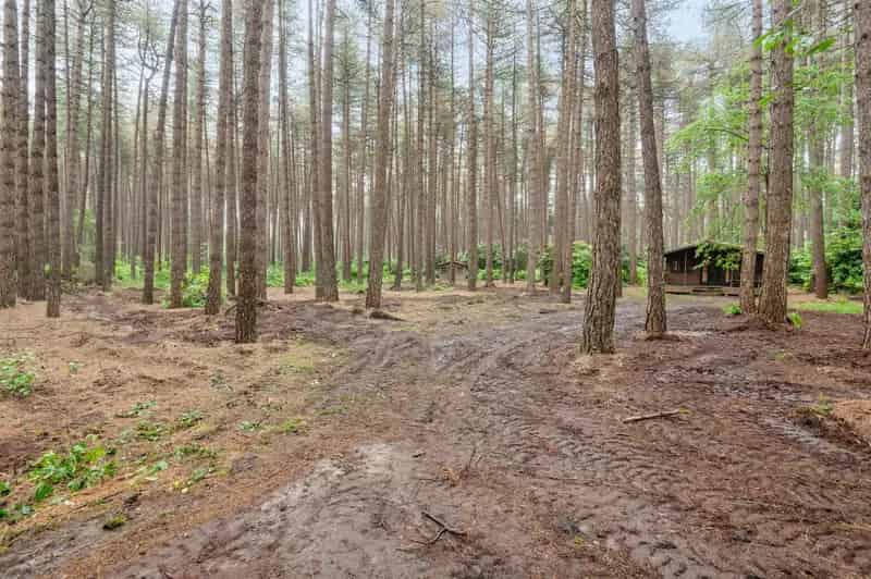 Bosgrond met chalet op riant perceel van 2607m²