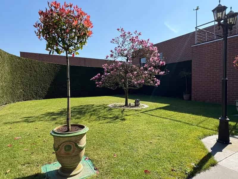 Statige woning te huur Harelbeke
