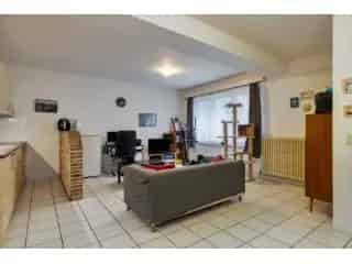 Handelspand te koop - Hasselt RBT87095