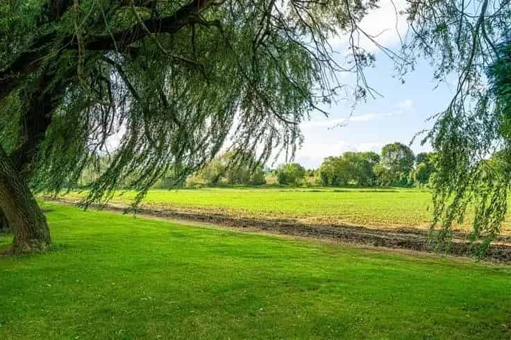 Huis te koop: Ruime gezinswoning met grote tuin en kelders