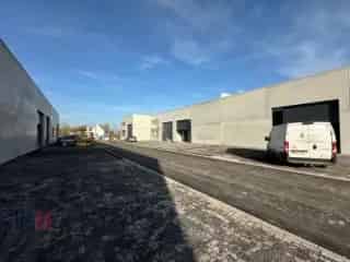 Industrie te koop - Anzegem RBP91071