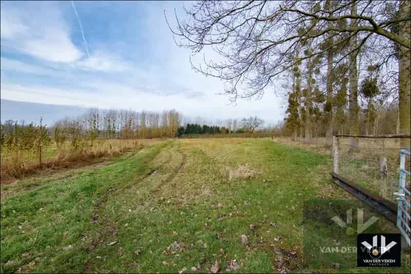 Landbouwgrond te huur Wellen 115 hectare