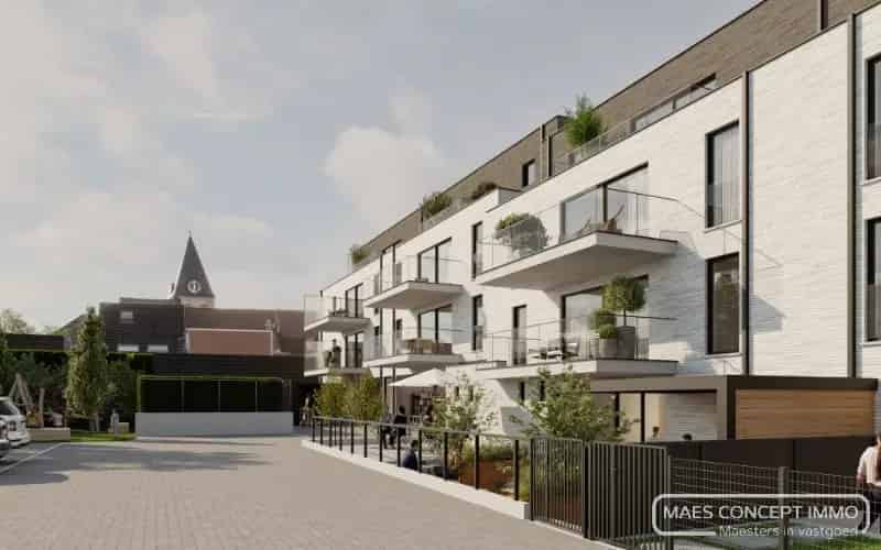 Handelspand te koop Anzegem