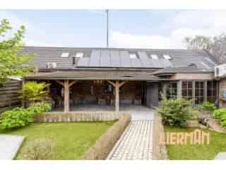 Handelspand te koop - Wetteren RBS31151