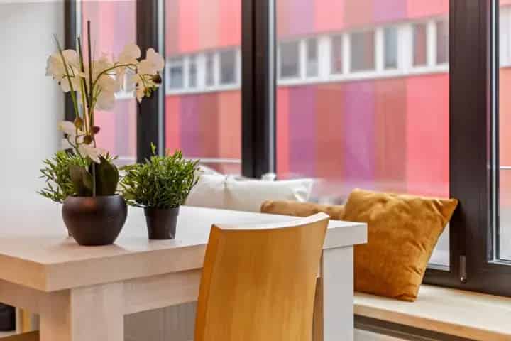 Appartement te koop in Wetteren