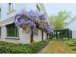 Huis te koop - Kraainem VBC74216