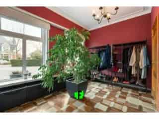 Kantoor te koop - Zottegem RWC38703