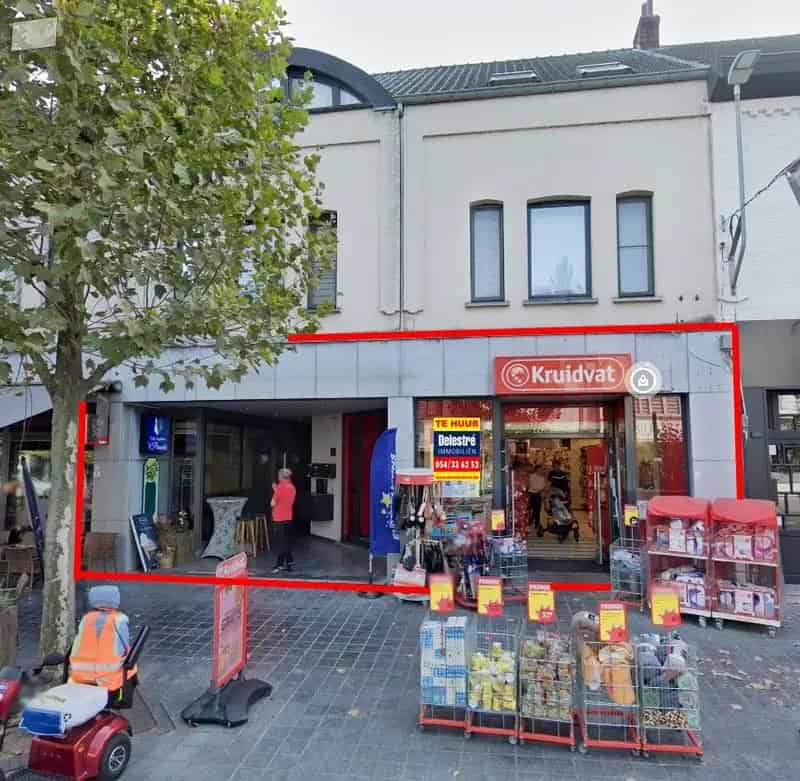 RUIM COMMERCIEEL GELIJKVLOERS PAUWENGRAAF
