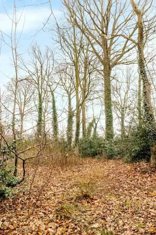 Groen gelegen perceel bouwgrond van circa 3.400m²