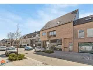 Handelspand te koop - Keerbergen RBT09964