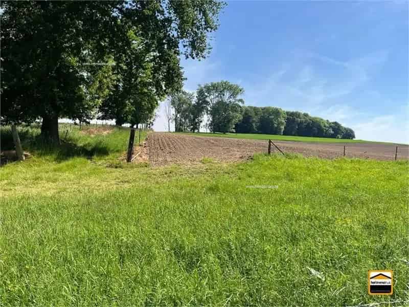 Landbouwgrond te koop Tongeren-Borgloon