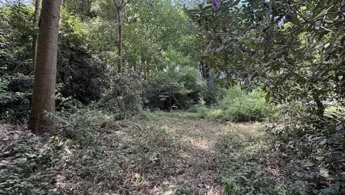 Bouwgrond te koop in Boterpotlaan 23, Essen - Dewaele