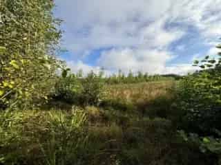 Landbouwgrond te koop - Balen RBS59849