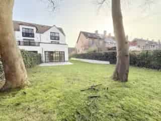 Huis te huur Sint-Pieters-Woluwe 4 slaapkamers 226m2