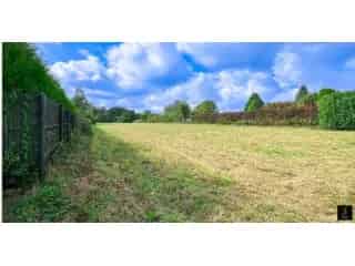 Bouwgrond te koop - Vellereille-les-Brayeux VBC51536