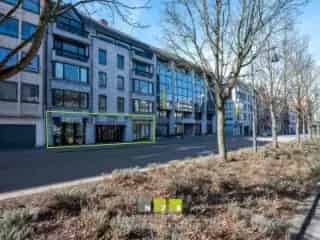 Handelspand te koop - Hasselt RBT86771