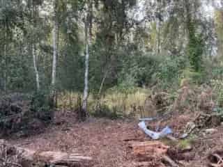 Landbouwgrond te koop - Zandhoven RBT76369
