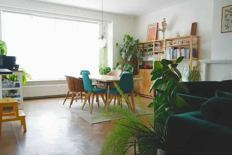 Appartement te koop