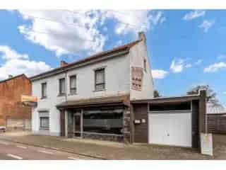 Handelspand te koop - Beringen RBT04539