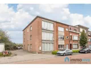 Handelsfonds te koop - Hemiksem RBS48876