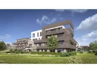 Project: Polderpark - Stabroek 1819244-01353908_OM_234004