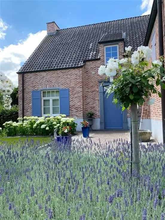 Villa te Koop Everbeek 5 slaapkamers 300m²