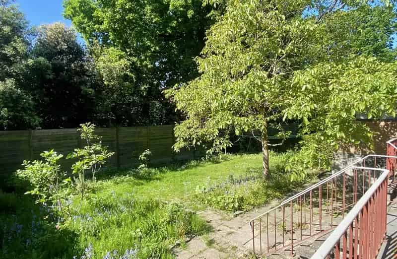 Huis te huur Hemiksem: HOB met zuidtuin en uitbreidingsmogelijkheden