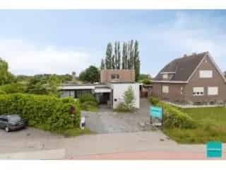 Handelspand te koop - Asse RBU04807
