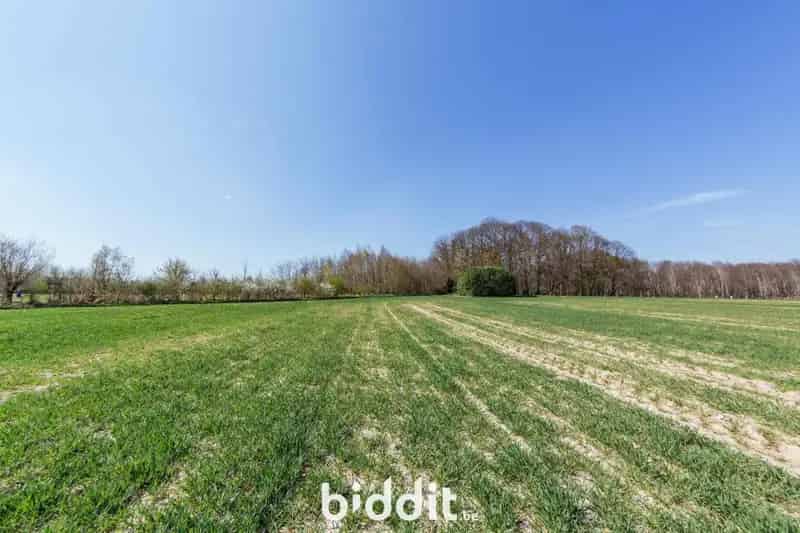 LOT 1: RUÏNE (AFGEBRANDE HOEVE)