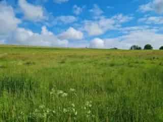 Bouwgrond te koop - Tenneville VWD13556