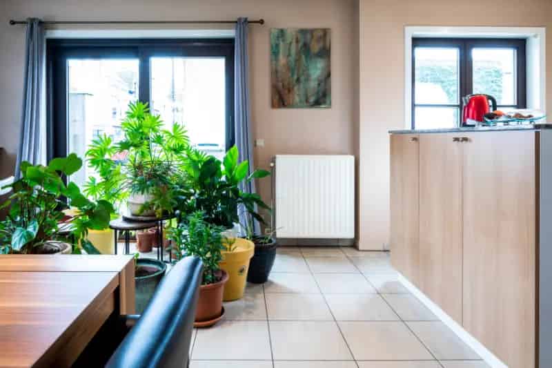 Appartement te huur