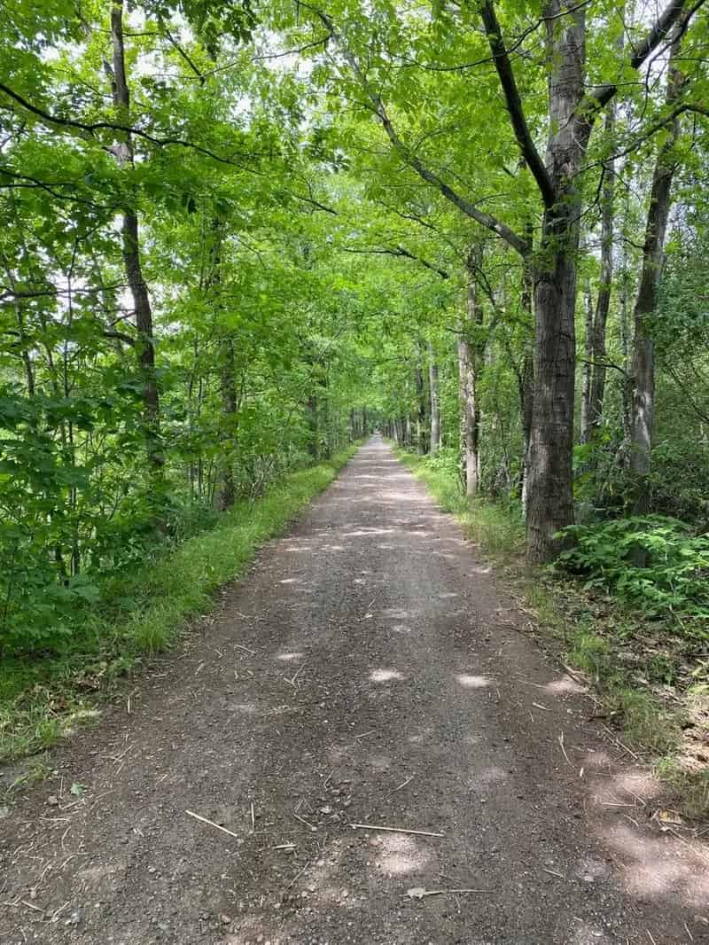 Recreatiegrond te koop met natuurlijke vijver in Westmeerbeek