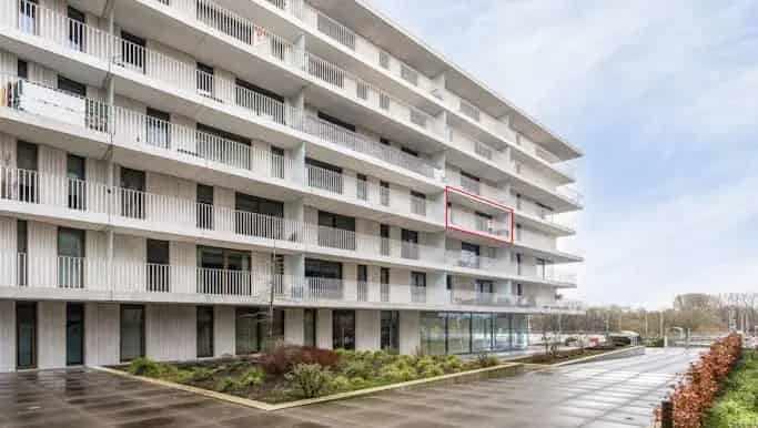 Appartement te huur in Frank Van Ackerpromenade 6, Brugge - Dewaele
