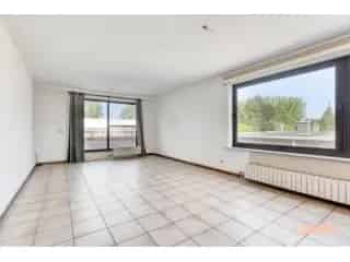 Duplex te koop - Gijzegem RBT36240