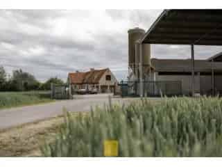 Boerderij - hoeve te koop - Veurne RBS08387