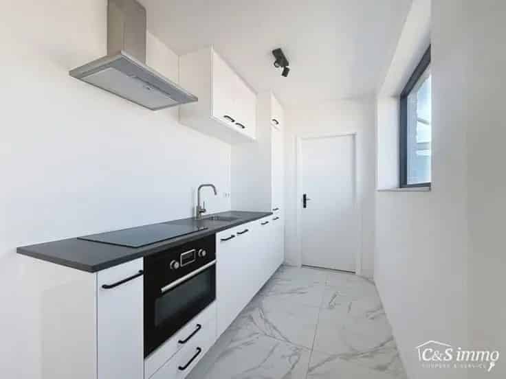 Gerenoveerd Dakappartement Antwerpen Haven