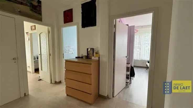 Appartement te koop Antwerpen 3 slaapkamers gerenoveerd