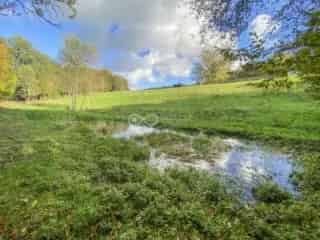 Landbouwgrond te koop - Rance VBC08248