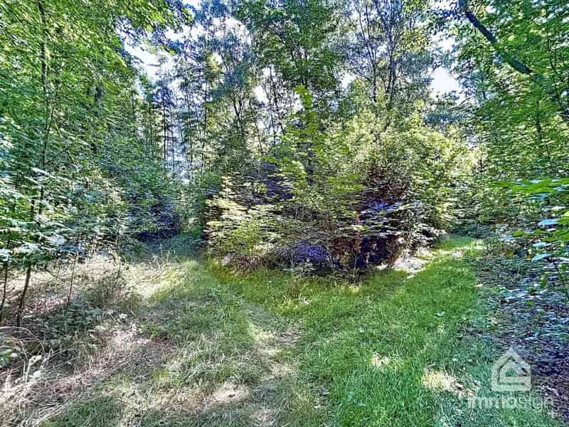 Uniek stuk grond van 9.050 m² in Grote-Brogel/Peer!