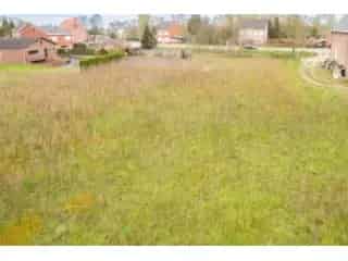 Grond te koop - Geel RBT01009